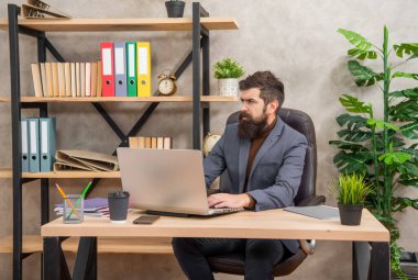 confident bearded boss study online on laptop in the office, business education.