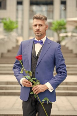 Romantik zamanlarda smokinli şık bir adam. Romantik hediyeli bir adam. Kafkasyalı romantik adam ve gül.