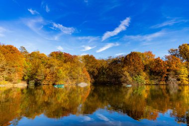 Sonbahar doğa manzarası. Central Park 'ta sonbahar doğası. Mevsimlik sonbahar manzarası. Sonbahar göletine park teknesi, New York. Manzaralı düşüş. Sonbaharda Central Park 'ta. Sonbahar manzarası. Göletteki tekne. Sahne teknesi.