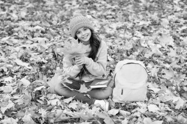 Sarı şapkalı neşeli çocuk dışarıda akçaağaç yaprağını tutuyor okul çantasıyla parkta dinleniyor, okula geri dönüyor..