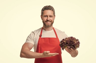 Beyaz arka planda marul sebzeli önlüklü adam..