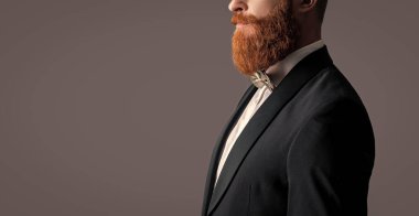 İrlandalı adam tıraş edilmemiş sakallı yüz profil stüdyosu Griler 'de izole edilmiş. Smokinli, kızıl sakallı ve bıyıklı sakallı bir erkek. Şık sakal, kopyalama alanı.