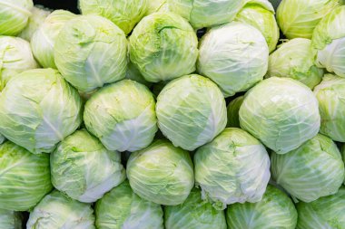 Eko sebze. Yeşil lahana arka planı. Yiyecek pazarında sebze sebzesi. Organik yiyecekler. Hasat ve çiftçilik. Organik sebze lahanası. Organik lahana arka planı. Sağlıklı beslenme.