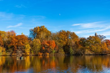 Central Park göletinde kürek çeken insanlar. Sonbaharda Central Park 'ta renkli devrilmiş ağaçlar. Sonbahar doğası. New York City Central Park 'ta gölde teknesi var. Sonbahar manzarası. Kayık kiralama.