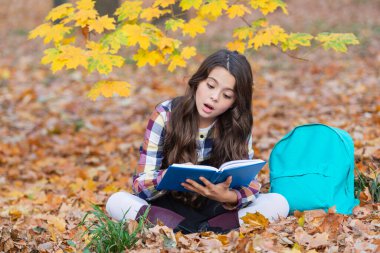 Eğitim ve bilgi. Bilgi toplama günü. Kendi kendine eğitim. Sonbahar kitabı. Okula dönelim. Okul eğitimi. Dışarıda kitap okuyan liseli kız. Genç kız sonbahar parkında kitap okuyor. Beklenmeyen dönüş.