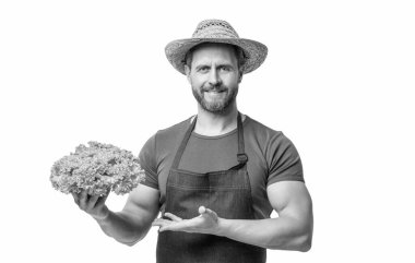 Önlüklü ve şapkalı bir adam marullu sebzeleri sunuyor..