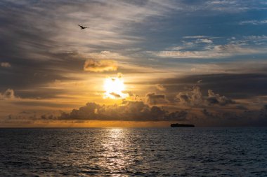 Dramatik gün doğumu. Yaz plajında deniz doğumu. Yaz tatilinde gün batımı deniz manzarası. Deniz kıyısında gün doğumu. Gün batımında dramatik deniz manzarası. Deniz manzarasında romantik bir yaz tatili. Gemi silueti.