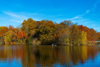 Central Park göletinde kürek çeken insanlar. Sonbaharda Central Park 'ta renkli devrilmiş ağaçlar. Sonbahar doğası. New York City Central Park 'ta gölde teknesi var. Sonbahar manzarası. Bir tekne kirala..