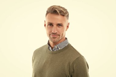 Yakışıklı, kır saçlı adamın stüdyo fotoğrafı. Beyaz arka planda sakallı, olgun, kır saçlı bir adam. Gri kazaklı adam. Kır saçlı adamın sakalı var..