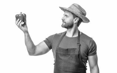 Önlüklü, şapkalı, olgun, tatlı biberli, beyaz tenli bir adam..