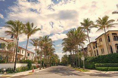 suburb residence with houses and villas in palm beach. clipart