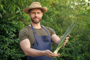 Hasır şapkalı, yeşil soğanlı tarımcı..