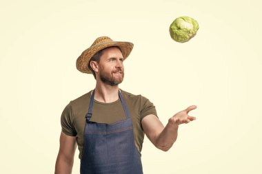 Önlüklü ve şapkalı bahçıvan. Beyaz tenli lahana sebzeli..