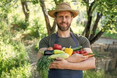 Hasır şapkalı bahçıvan taze, olgun sebzeleri tutuyor..