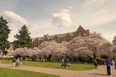 Seattle, Washington ABD - 2 Nisan 2021: Park 'ta baharın açtığı ağaçlarla Washington Üniversitesi Kampüsü.