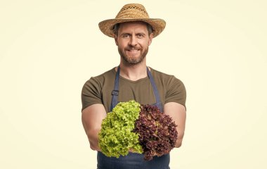 Önlüklü bahçıvan ve beyaz salata yapraklı şapka..