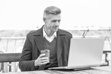 Serious director man working online in laptop drinking coffee in outdoor cafe.