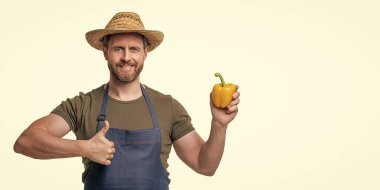 Önlüklü, şapkalı, biberli, beyaz tenli bir adam. başparmak yukarı.