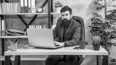 Ofisteki bilgisayarlı acımasız ciddi ağ yöneticisi, ofis çalışanı..