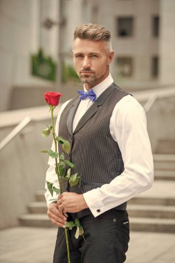 valentines day concept. tuxedo man with valentines red rose. flower gift for valentines day.