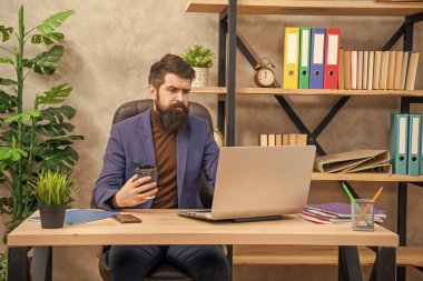 Kendine güvenen sakallı patron internette laptopta çalışıyor. Kahveyi ofiste tutuyor, e-postayı kontrol ediyor..