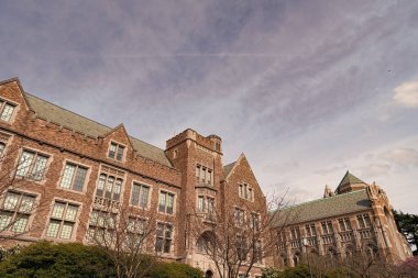 Seattle 'daki Washington Üniversitesi binası. güneşli bir gün.