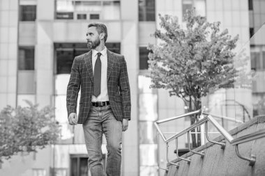 İşletme müdürü şehir geçmişinde yürüyor. İşletme müdürü sokakta ceket giyiyor. Kravat takan işletme müdürünün fotoğrafı..