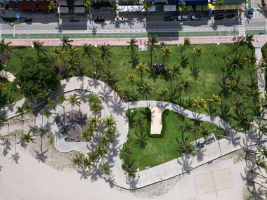 Park in summer. Relax area landscape aerial view. Green zone vacation. Aerial view Miami landscape, Florida. Aerial view on palm trees in park. Aerial landscape in South Beach. Ocean drive. clipart