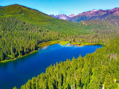 Cooper gölü ve dağ manzarası. Cooper Gölü 'nün dağ ve orman manzarası. Doğa manzarası. Washington 'daki Cooper Gölü. Cooper Gölü 'nün popüler doğa yürüyüşü. Mevsimlik yeşillik.