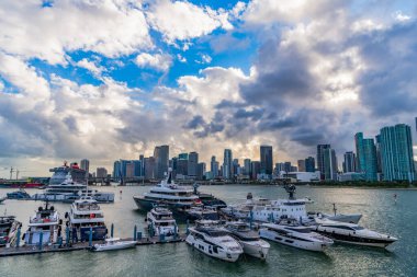 Miami, Florida, ABD - 4 Kasım 2024 Miami limanına yanaştı. Marina lüks şehir manzarası. Yatı olan liman. Lauderdale marinası. Lüks yat kiralama. Miami limanı marinası. Yazın lüks yat gezisi..