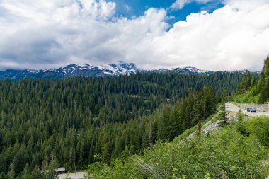 Orman doğası. Dağ kırsalında doğa. Dağ manzaralı bir yer. Manzara sonbahar kırsalında. Ormanlı Tahoma Dağı manzarası. Rainier Dağı dağ manzarası. Geniş ufuk.