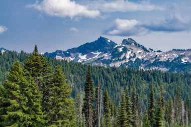 Dağ manzaralı bir yer. Manzara sonbahar kırsalında. Ormanlı Tahoma Dağı manzarası. Rainier Dağı dağ manzarası. Orman doğası. Dağ kırsalında doğa. Dramatik uçurumlar.