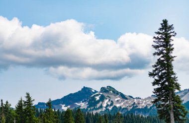 Rainier Dağı dağ manzarası. Orman doğası. Dağ kırsalında doğa. Dağ manzaralı bir yer. Manzara sonbahar kırsalında. Ormanlı Tahoma dağı manzarası.
