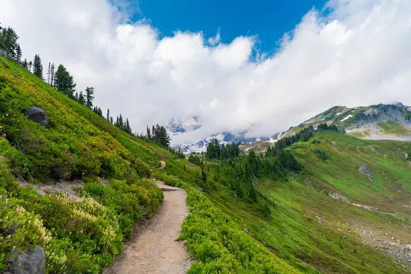 Dağ kırsalında doğa. Dağ manzaralı bir yer. Manzara sonbahar kırsalında. Ormanlı Tahoma Dağı manzarası. Rainier Dağı dağ manzarası. Orman doğası. Turistik macera.