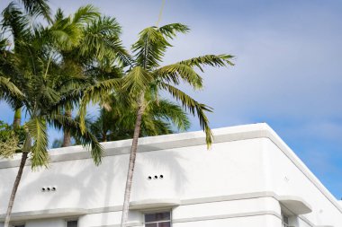 Konut mimarisi. Mimari dış görünüş. Evin dış kısmı parçalanmış. Modern apartman binası. Çatısı ve palmiye ağaçları olan bir apartman. Beyaz binanın düşük açılı görüntüsü.
