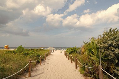 Yaz kumsalına giden boş patika yolu..