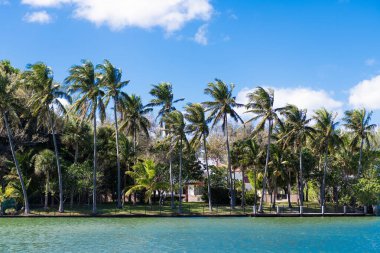 Lüks liman otel binası. Palmiye ağacı parkı. Yaz tatili. Lüks yerleşim alanı olan bir manzara. Sahil kıyısında bir apartman dairesi. Rıhtım manzaralı bir ev. Yaz tatili..