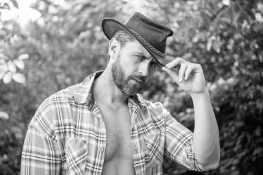 unshaven man in cowboy hat. sexy cowboy in checkered shirt. western cowboy wearing hat.