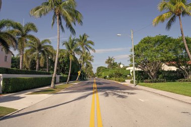 empty road with marking lines and palm trees on avenue.