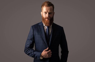 Takım elbiseli yakışıklı girişimci gri arka planda izole edilmiş. Girişimci resmi kıyafetler giyer. Girişimcinin stüdyo çekimi. Girişimcinin takım elbisesi ve kravatı.