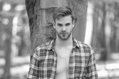 Tıraşsız keresteci portresi düğmesiz oduncu gömlek ormanı arka planında.