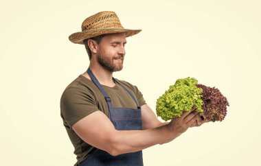 Önlüklü ve şapkalı tarımsal işçiler, marullu sebzeler beyazlar üzerinde izole edilmiş..