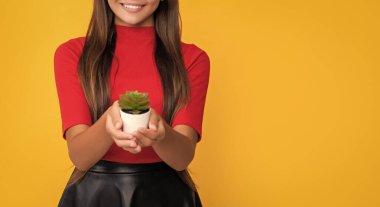 Sarı arka planda kaktüsü olan mutlu çocuk..