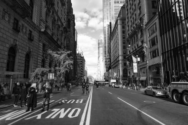 New York City, ABD - 11 Kasım 2023: New York sokak yolu sadece otobüs kuyruğu ile.