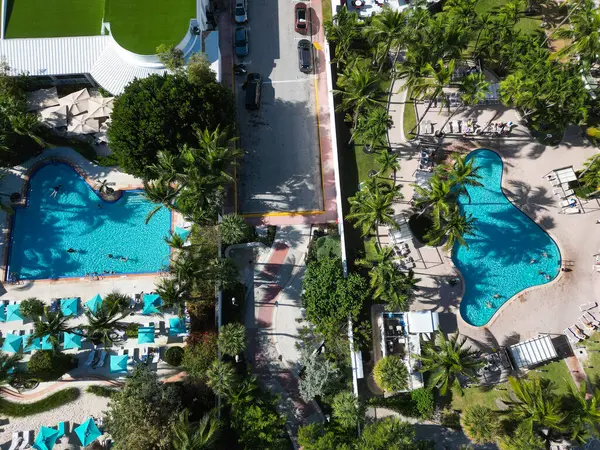 Miami sahilinde yaz tatili için yüzme havuzu ve palmiye ağacı olan lüks bir otel..