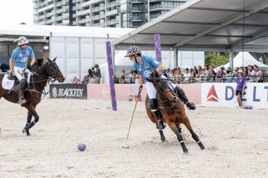 Miami Plajı, ABD-17 Kasım. 2024: Polo oyuncuları Dünya Polo Ligi Plajı 'nda oynuyorlar. Miami Beach, FL 'deki atların polo oyuncuları.