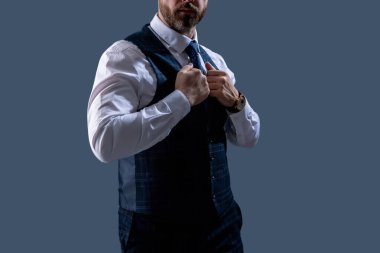 Formalite icabı iş adamı. Kesik manzaralı. Zarif terzilik yeleği giymiş bir iş adamı. Gri kravatlı resmi takım elbise. Erkek giyim kuşamı. Bespoke takımı. Resmi erkek giyim konsepti. Kuyruklu Biçim.