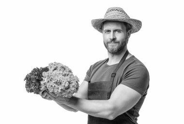 Kafkas bahçıvanı önlüklü ve şapkalı, marullu, beyaz tenli..