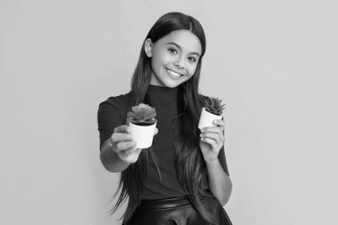 happy child with cactus plant in pot on yellow background.