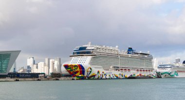 Miami, Florida, ABD - 03 Kasım 2024: Norveç ve Norveç Yeşim taşı. Gemi seyahati. Yaz tatilinde gemi turu. Gemi seyahati ve deniz seyahati. Lüks yolcu gemisi.